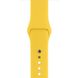 Ремінець для годинника Watch 38/42mm Sport Series 1:1 Original (Royal Blue), Pollen, Pollen