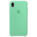 Чехол iPhone XR Silicone Case (Spearmint)
