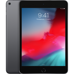 Apple iPad mini 5 Wi-Fi + LTE 256 Space Gray (MUXM2) 2019