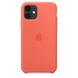 Чехол iPhone 11 Silicone Case (Clementine)