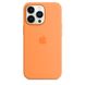 iPhone 13 Pro Silicone Case with MagSafe – Marigold (MM2D3)