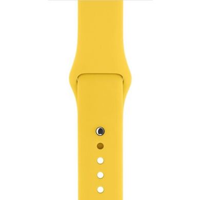 Ремешок для часов Watch 38/42mm Sport Series 1:1 Original (Royal Blue), Pollen, Pollen