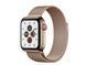 Apple Watch Series 5 GPS + Cellular 40mm Gold Stainless Steel Case with Gold Milanese Loop (MWWV2)