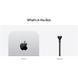 Apple Mac mini M4 24/512 10CPU 10GPU 2024 (MCYT4)