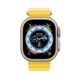 Apple Watch Ultra 49mm Titanium Case with Yellow Ocean Band (MNHG3)