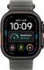 Смарт-годинник Apple Watch Ultra 4 Black Titanium Case with Translucent Black Ocean Band (MJAY4)
